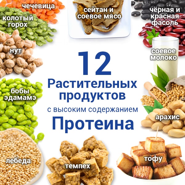 12 растительных продуктов с высоким содержанием белка